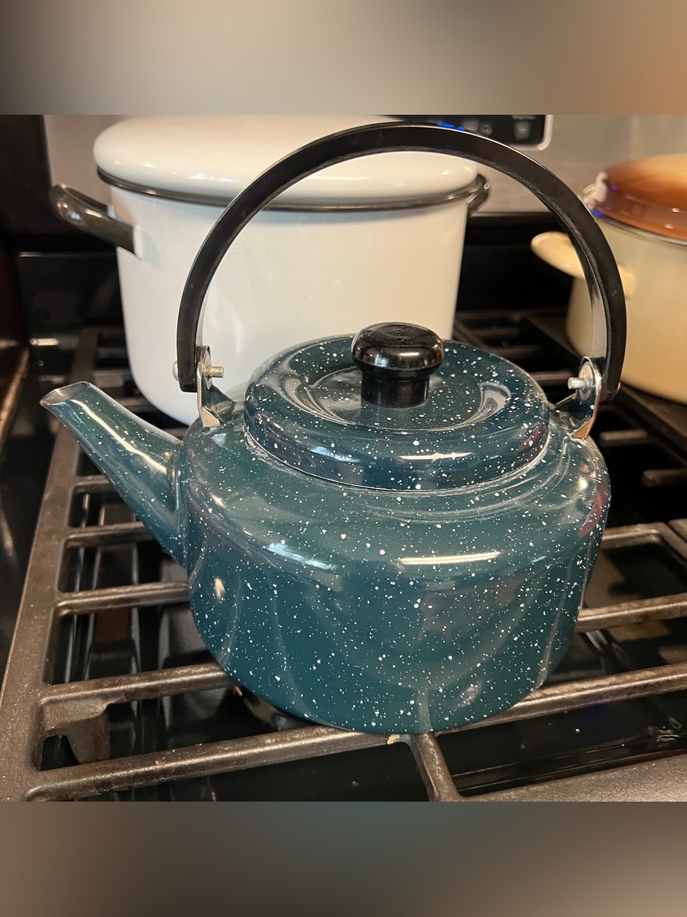 Vintage speckled tea kettle